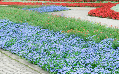 Similar image 5984220