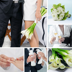 Similar image 5984274