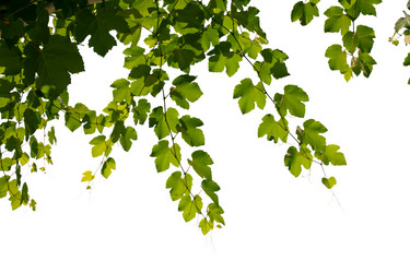 Similar image 5984276