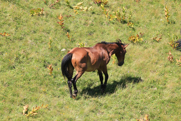 Similar image 5984404