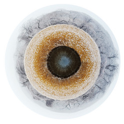 Similar image 5984407