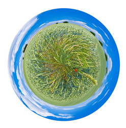 Similar image 5984447