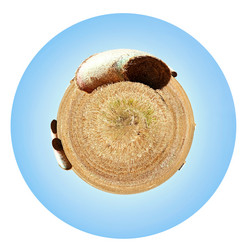 Similar image 5984500