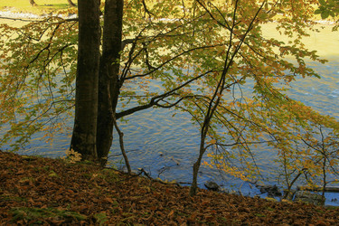 Similar image 5984585