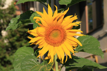 Similar image 5984588