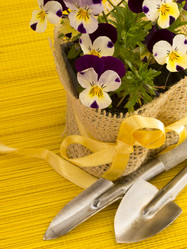 Similar image 5984682