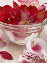 Similar image 5984685