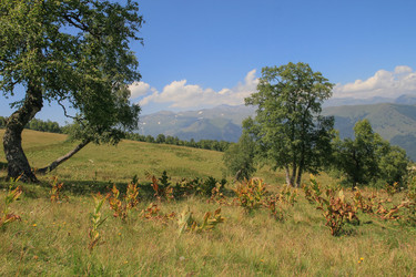 Similar image 5984709