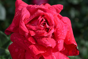 Similar image 5984751