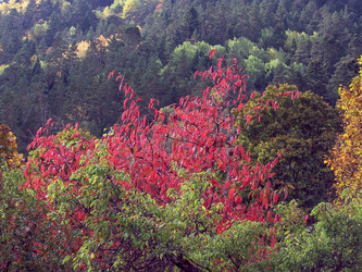 Similar image 5984850