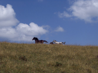 Similar image 5984871