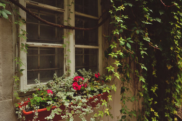 Similar image 5984889