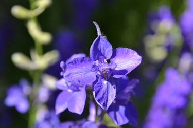 Similar image 5984953