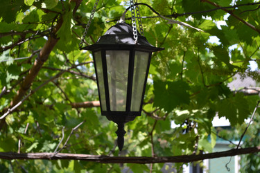 Similar image 5984955