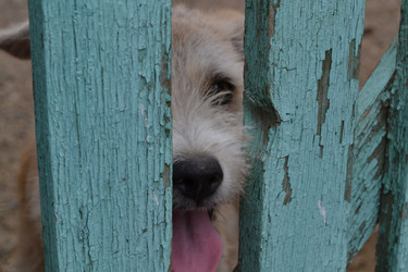 Similar image 5984968