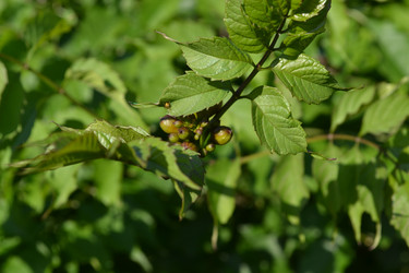 Similar image 5984971