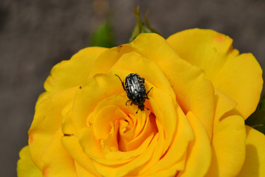 Similar image 5984973