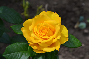 Similar image 5984974