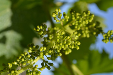 Similar image 5984976