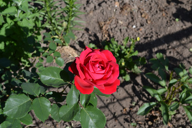 Similar image 5984978