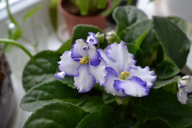 Similar image 5984982