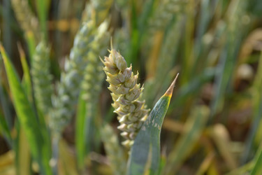 Similar image 5984984