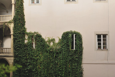 Similar image 5985007