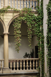 Similar image 5985010