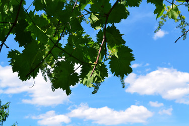 Similar image 5985016