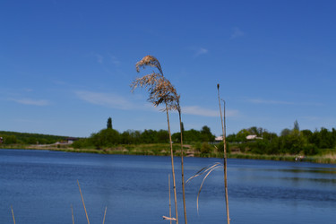 Similar image 5985018