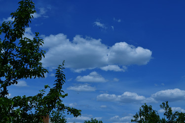 Similar image 5985019