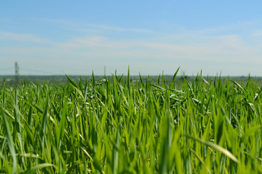 Similar image 5985022