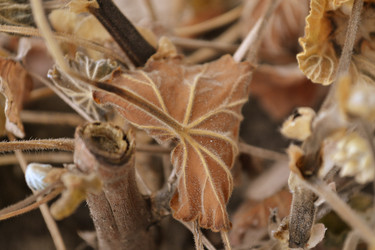 Similar image 5985023