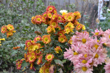 Similar image 5985025