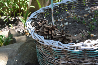 Similar image 5985027