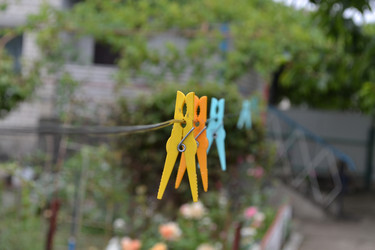 Similar image 5985278