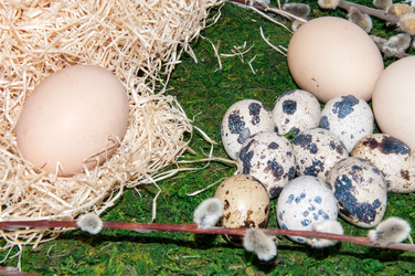 Similar image 5985397