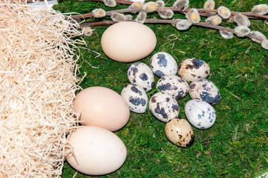 Similar image 5985398