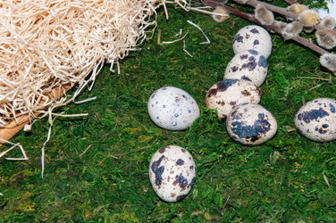 Similar image 5985399