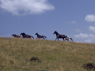 Similar image 5985405