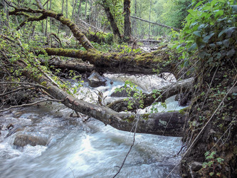 Similar image 5985406