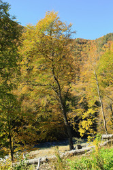 Similar image 5985407