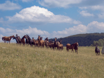 Similar image 5985425