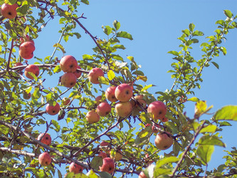 Similar image 5985463