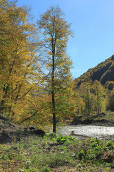 Similar image 5985467