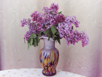 Similar image 5985475