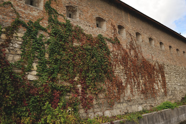 Similar image 5985515