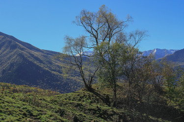 Similar image 5985518