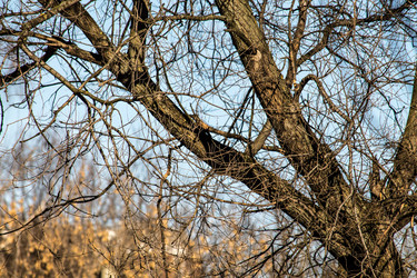 Similar image 5985588