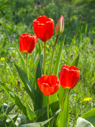 Similar image 5985713